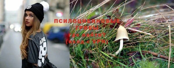 спиды Зерноград