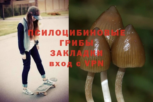 mdpv Зеленокумск