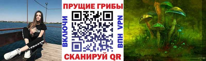 где купить наркоту  Калязин  Псилоцибиновые грибы мухоморы 